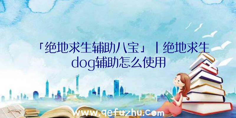 「绝地求生辅助八宝」|绝地求生dog辅助怎么使用